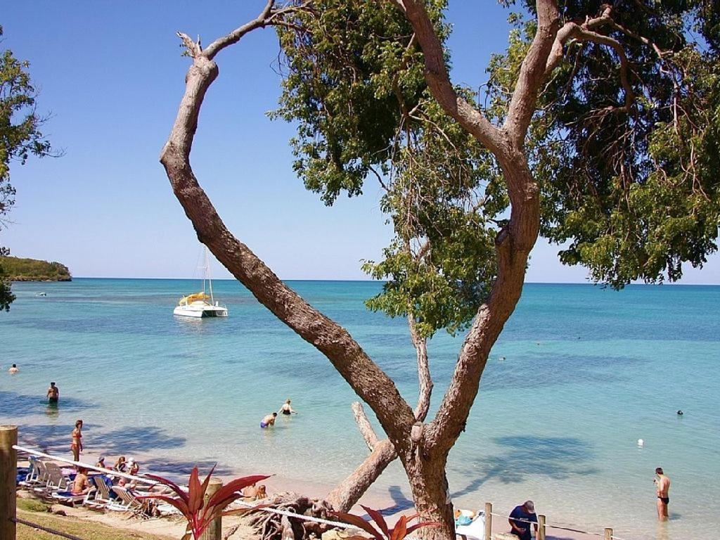 Studio Les Pieds Dans L'Eau سانت آن المظهر الخارجي الصورة